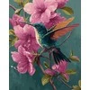 Beldizart Deimantinio tapybos rinkinys su porėmiu "Kolibris" 30x40 cm VA912