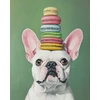 Beldizart Rinkinys Diamond Painting su porėmiu "Prancūzų buldogas" 30x40 cm VA861