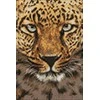 Wizardi Beldizart EAN 4630033464119 WD069