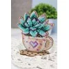 MP Studia Beldizart Karoliukų siuvinėjimas ant medinio pagrindo "Romantiška echeveria" SO-076