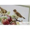 Alisa Beldizart Warblers &amp; Plums S5-17