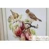 Alisa Beldizart Warblers &amp; Plums S5-17