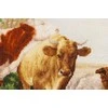 Beldizart Siuvinėjimo rinkinys "Briedis po medžiais" 40x60 cm S/MK112