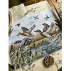 Beldizart Kryželiu siuvinėjimo rinkinys "Skrendančios antys" 25,5 х 19,5 cm SANL-26