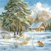 Beldizart Kryželiu siuvinėjimo rinkinys "Šaltis ir saulė" 19 х 19 cm SANM-42