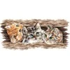 Beldizart Kryželio siuvinėjimo rinkinys "Pūkuotas trio" 35 х 14,5 cm SANP-69