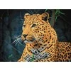 Wizardi Beldizart Leopardas 40*30 WD3036 (D)