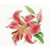 Alisa Beldizart Lily S0-118
