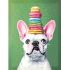 Beldizart Rinkinys Diamond Painting su porėmiu "Prancūzų buldogas" 30x40 cm VA861