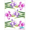 Beldizart Ryžių kortelė dekupažui "Iris No. 2" 21x29 cm AM400134D