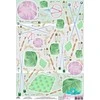 Beldizart Ryžių kortelė dekupažui "Mezgimo virbalai, siūlai ir smeigtukai" dydis: 21 * 30 cm AM400328D