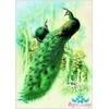 Beldizart Ryžių kortelė dekupažui "Peacock" 21x29 cm AM400107D