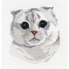 Oven Beldizart Scottish Fold S1323