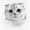 Oven Beldizart Scottish Fold S1323