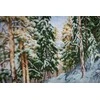 Beldizart Skaičiuojamo kryželiu rinkinys "Žiemos žavesys" 41.5x28 cm S/LP064