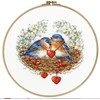 Beldizart Siuvinėjimo rinkinys Birds in the nest 30x30 cm S/RS024
