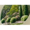 Zolotoe Runo Beldizart Kryželiu siuvinėjimo rinkinys "Vasaros parkas" 31.7×31.7 cm S/VM037