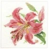 Alisa Beldizart Lily S0-118