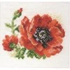 Alisa Beldizart Poppy S0-80