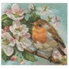 Alisa Beldizart Robin S1-20