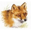 Alisa Beldizart Fox S1-28