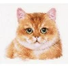 Alisa Beldizart Kryželiu siuvinėjimo rinkinys "Teddy Cat" S1-36