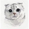 Oven Beldizart Scottish Fold S1323