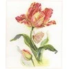 Alisa Beldizart Tulpė ir drugelis S2-14