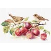 Alisa Beldizart Warblers &amp; Plums S5-17