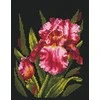 Andriana Beldizart Aksominis Iris SANB-15