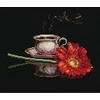 Andriana Beldizart Kava Jai SANK-26