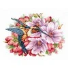 Andriana Beldizart Kolibris ir gėlės SANK-44
