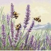 Beldizart Siuvinėjimo kryželiu rinkinys "Vasaros daina" 18,5 x 18,5 cm SANL-27