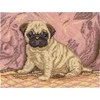 Andriana Beldizart Pug SANM-33