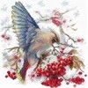 Andriana Beldizart Kryželių siuvinėjimo rinkinys "Waxwing" 19x19,5 cm SANS-72
