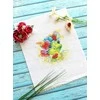 MP Studia Beldizart Siuvinėjimo kryželiu rinkinys "Romantiškas drakonas" 15x15 cm SM-758 (D)