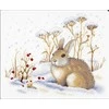 MP Studia Beldizart (D)Hare gourmet SNV-743