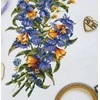MP Studia Beldizart Melampyrum nemorosum SNV-778