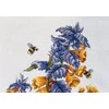 MP Studia Beldizart Melampyrum nemorosum SNV-778