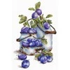 MP Studia Beldizart Kryželiu siuvinėjimo rinkinys "Garden plums" SNV-877