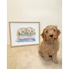 Bothy Threads Cross stitch kit "A Pup's Life" XHD153 30x26 cm
