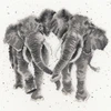 Bothy Threads Cross stitch kit "Age Is Irrelephant" XHD27 26x26 cm