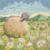 Bothy Threads Cross stitch kit "Basking In The Sun" XLP24 26x26 cm