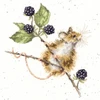 Bothy Threads Cross stitch kit "Brambles" XHD91 26x26 cm