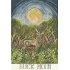 Bothy Threads Cross stitch kit "Buck Moon" XDD16 18x27 cm