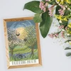Bothy Threads Cross stitch kit "Budding Moon" XDD1 18x27 cm