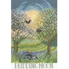 Bothy Threads Cross stitch kit "Budding Moon" XDD1 18x27 cm
