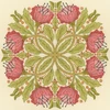 Bothy Threads Cross stitch kit "Celtic Poppies" XBUF1 26x26 cm