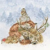 Bothy Threads Cross stitch kit "Comfort And Joy" XHD157 30x30 cm