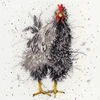Bothy Threads Cross stitch kit "Curious Hen" XHD17 26x26 cm